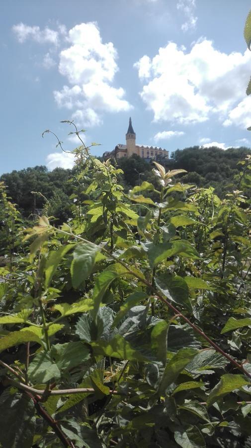 Ústí nad LabemLuckaアパートメント エクステリア 写真